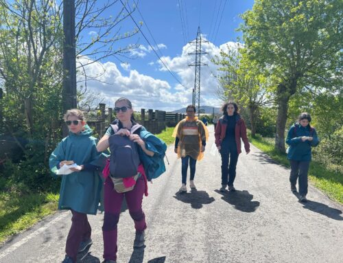 Camino de Santiago